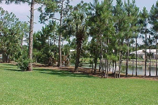 4� Zimmer Luxuswohnung&nbsp;Marco Island / Florida&nbsp;:&nbsp;&nbsp;Aussicht vom&nbsp;Wohnzimmer