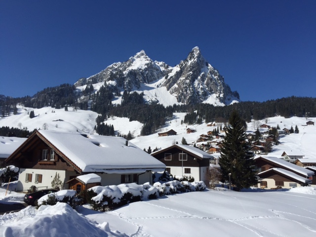 Chalet Villa Alpthal Brunni&nbsp;8849 Alpthal&nbsp;:&nbsp;&nbsp;����&nbsp;����