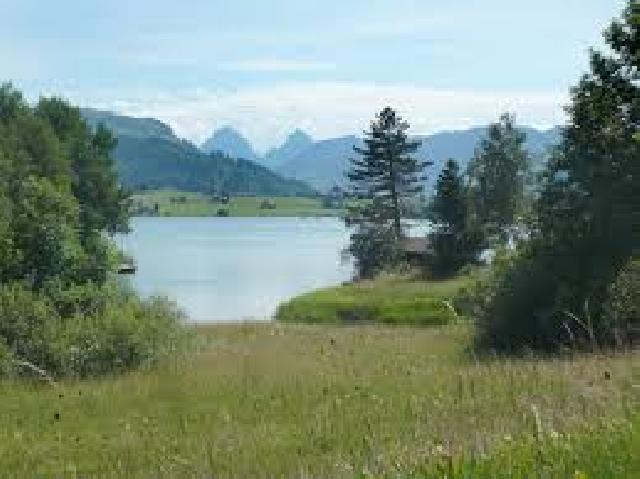 Chalet Villa Alpthal Brunni&nbsp;8849 Alpthal&nbsp;:&nbsp;&nbsp;��&nbsp;��