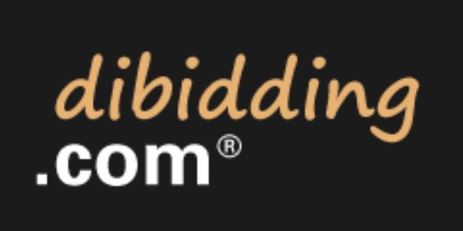 dibidding by Oliver B GmbH