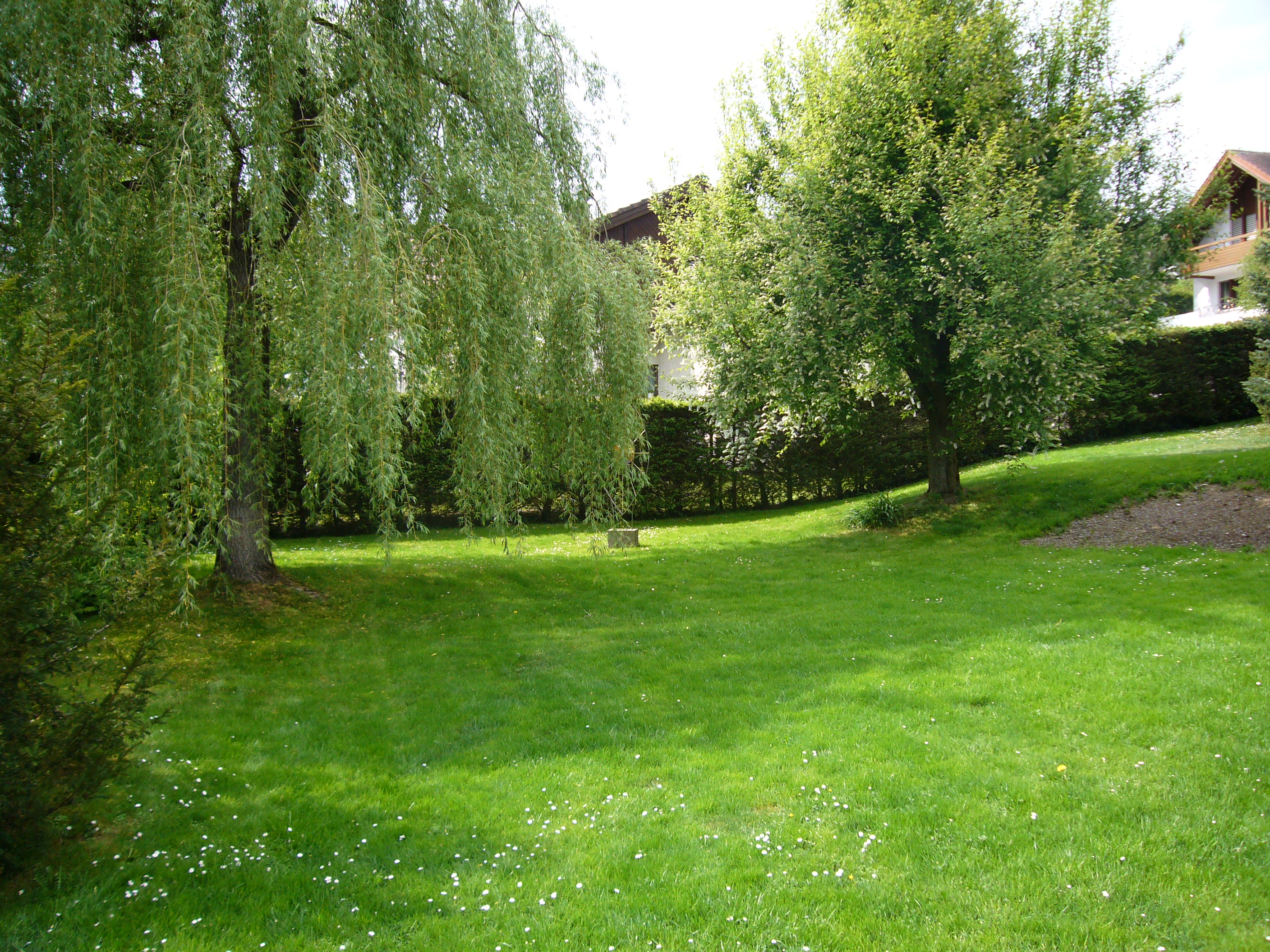 Sonne und Aussicht pur&nbsp;Appenzell&nbsp;:&nbsp;&nbsp;&nbsp;