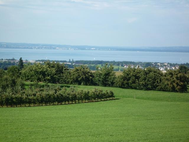 Villa mit Bodenseesicht&nbsp;Freidorf&nbsp;:&nbsp;&nbsp;�&nbsp;�