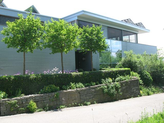 Am Hofberg&nbsp;Wil&nbsp;:&nbsp;&nbsp;��&nbsp;��
