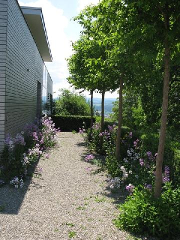 Am Hofberg&nbsp;Wil&nbsp;:&nbsp;&nbsp;�&nbsp;�