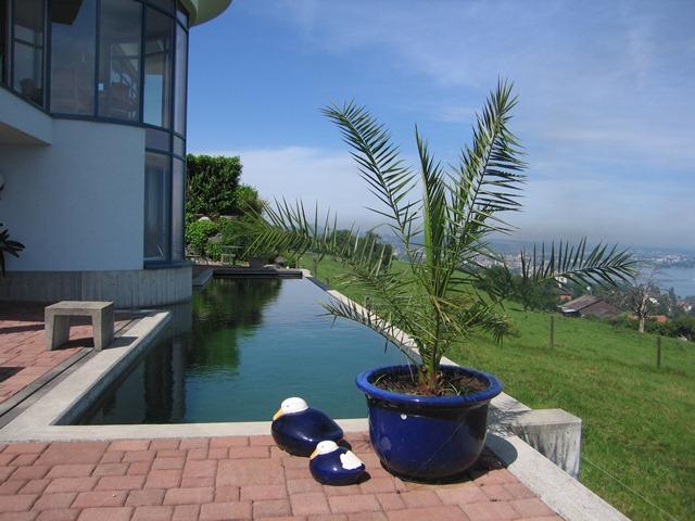 moderne Villa mit Pool&nbsp;,&nbsp;Rorschacherberg&nbsp;,&nbsp;moderne Villa mit Pool&nbsp;Rorschacherberg