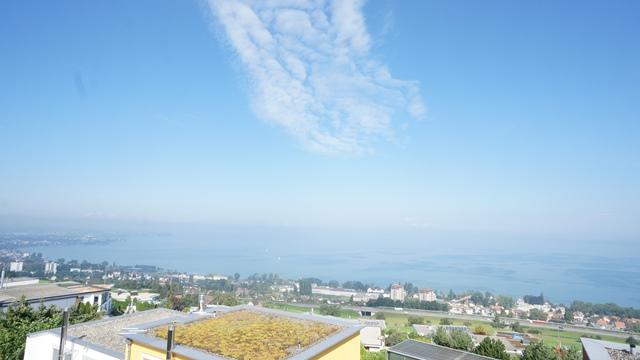 neu, Bodenseesicht&nbsp;Rorschacherberg&nbsp;:&nbsp;&nbsp;�&nbsp;�