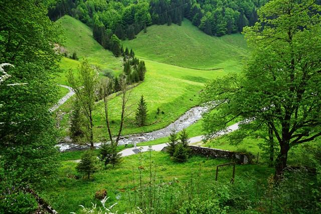 Natur pur&nbsp;Schwende-Wasserauen&nbsp;:&nbsp;&nbsp;������&nbsp;������