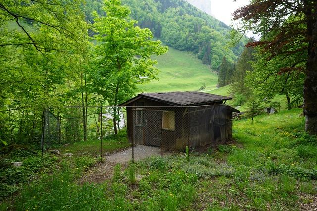 Natur pur&nbsp;Schwende-Wasserauen&nbsp;:&nbsp;&nbsp;������&nbsp;������