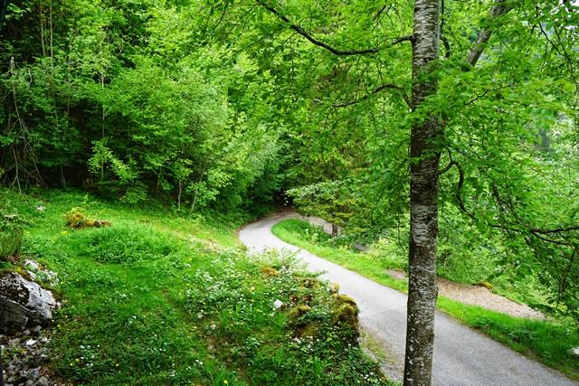 Natur pur&nbsp;Schwende-Wasserauen&nbsp;:&nbsp;&nbsp;������&nbsp;������