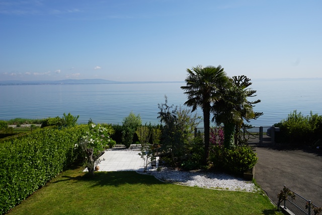 am Bodenseeufer&nbsp;Uttwil&nbsp;:&nbsp;&nbsp;��&nbsp;��