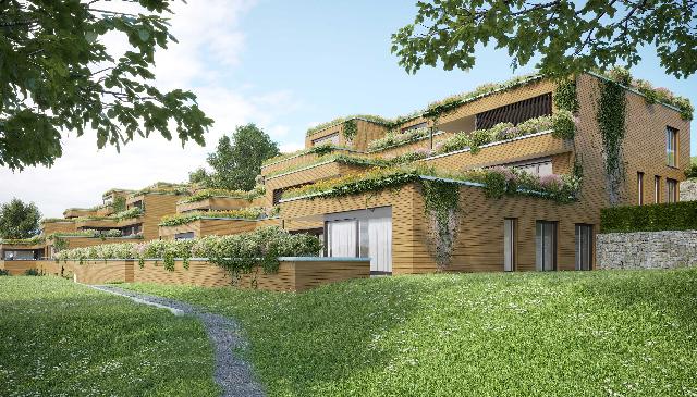 www.sonnenberg-zuzwil.ch&nbsp;,&nbsp;Neubau in Zuzwil&nbsp;,&nbsp;www.sonnenberg-zuzwil.ch&nbsp;Neubau in Zuzwil