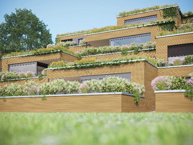 Priviligiert wohnen&nbsp;,&nbsp;Neubau in Zuzwil&nbsp;,&nbsp;Priviligiert wohnen&nbsp;Neubau in Zuzwil